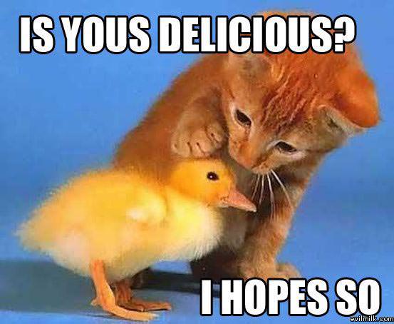 Delicious