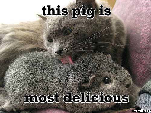 Delicious Pig