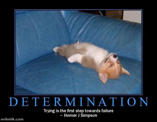 Determination