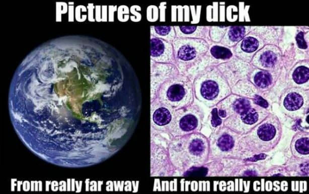 Dick Pics