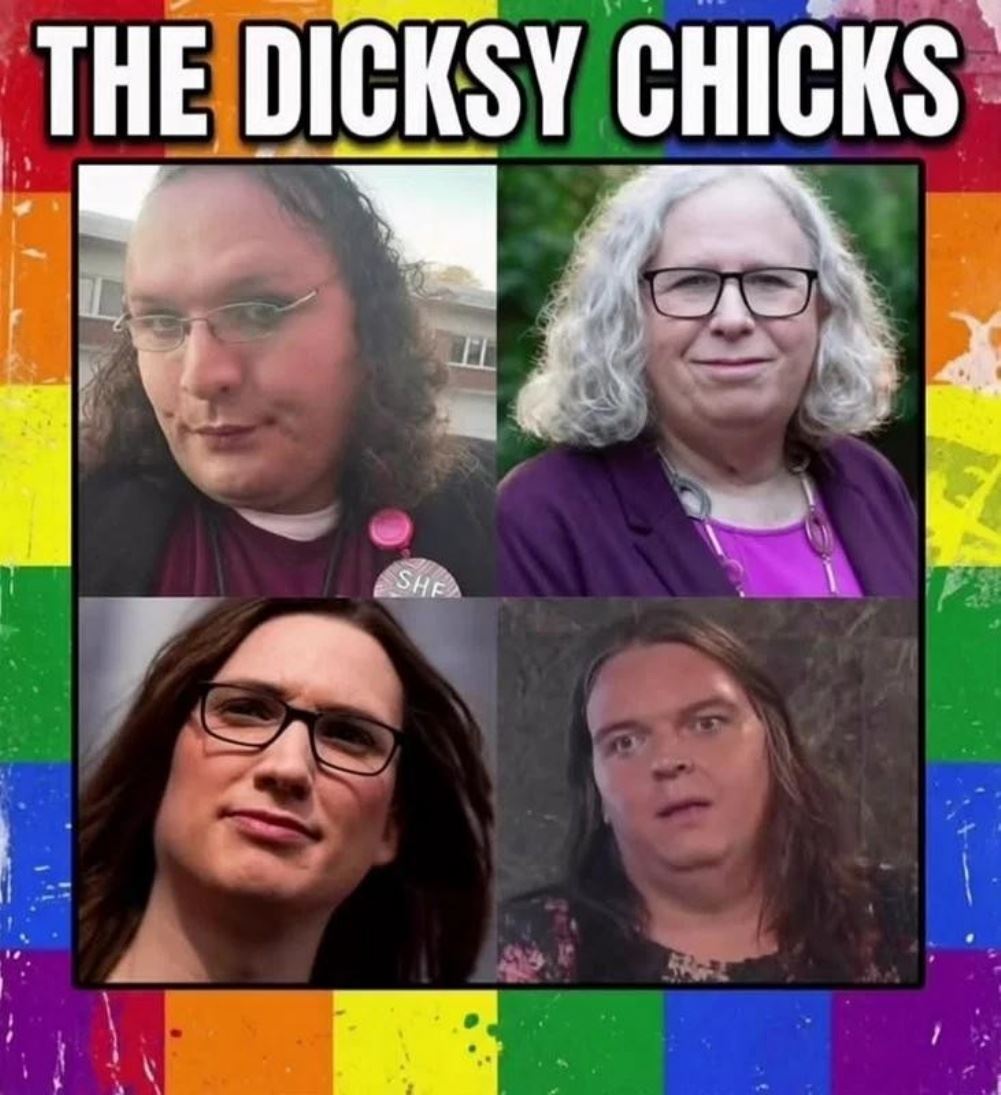 Dicksy Chicks