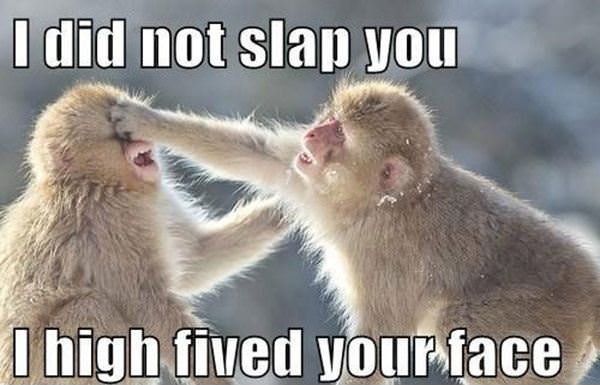 Did Not Slap You