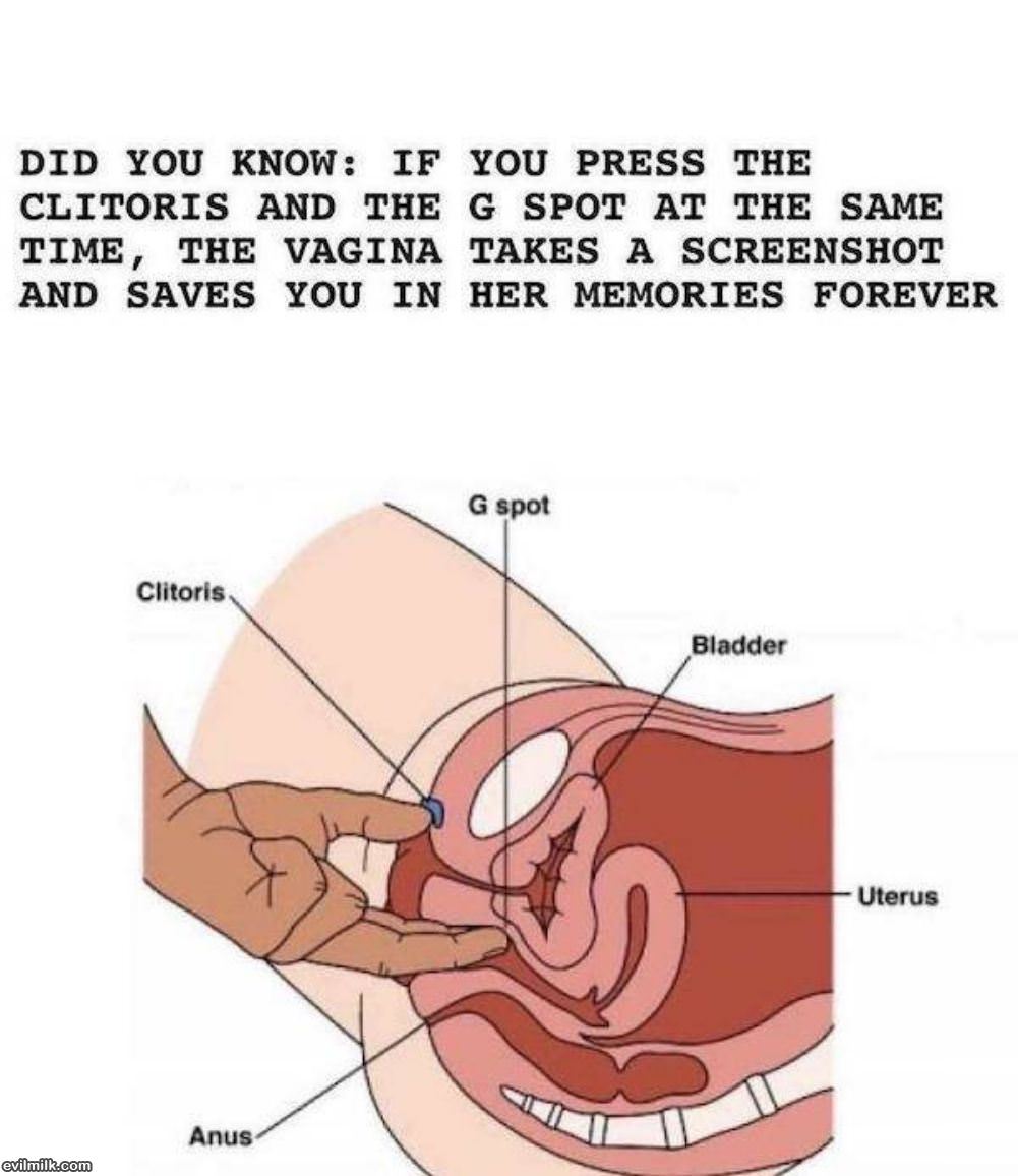 Did You Know