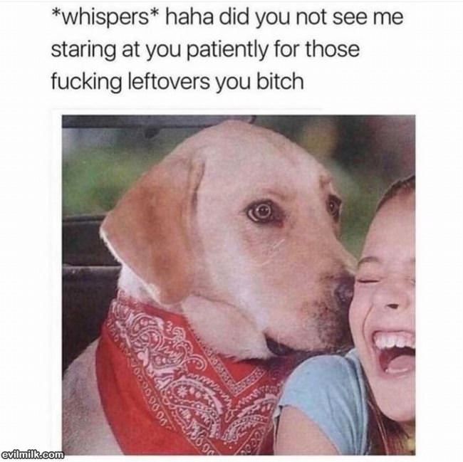 Did You Not See Me