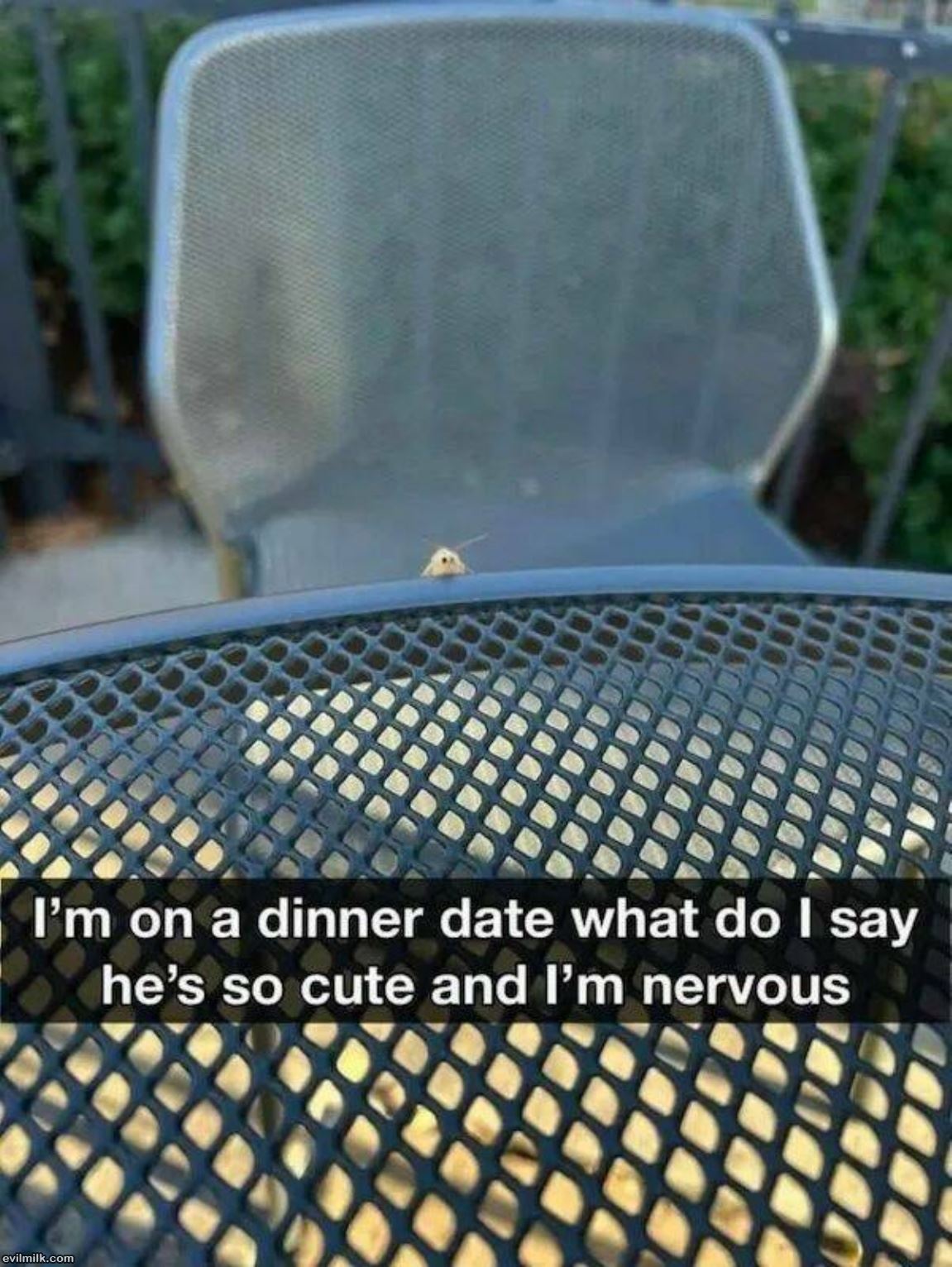 Dinner Date