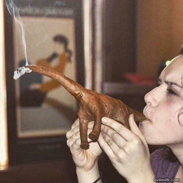 Dino Blunt