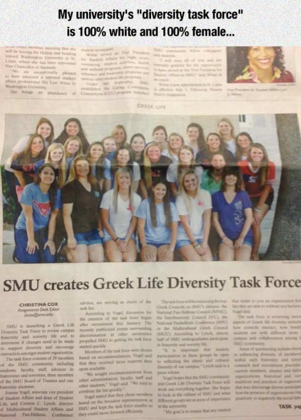 Diversity Task Force