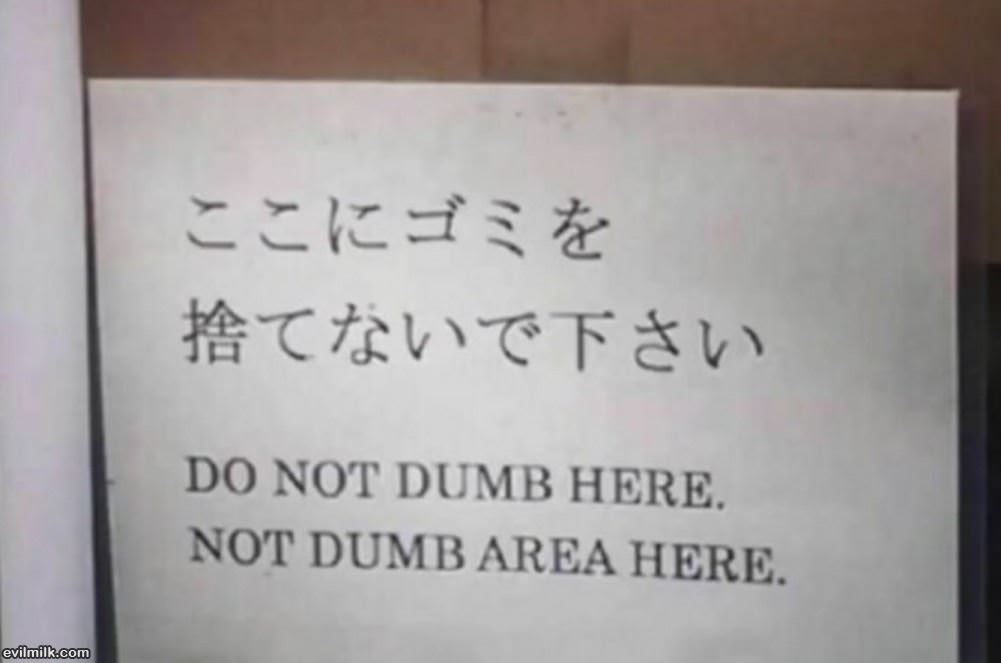Do Not Dumb Here
