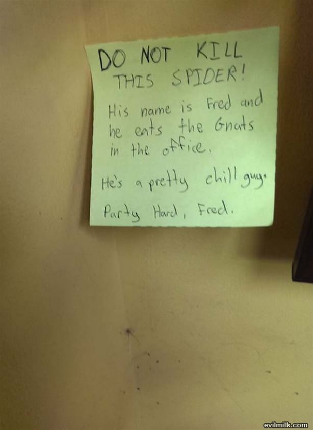 Do Not Kill Fred
