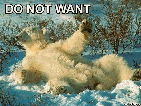 Do Not Want Bear