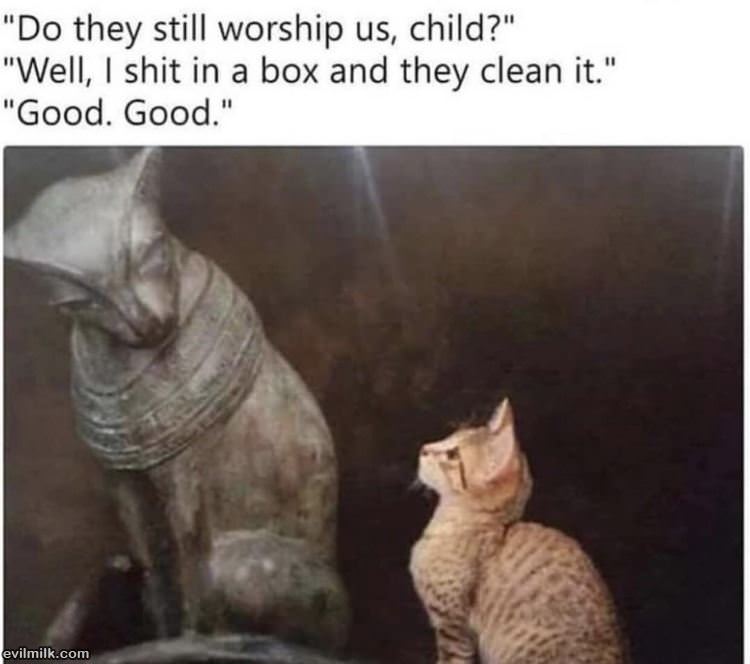 Do They Still Worship Us