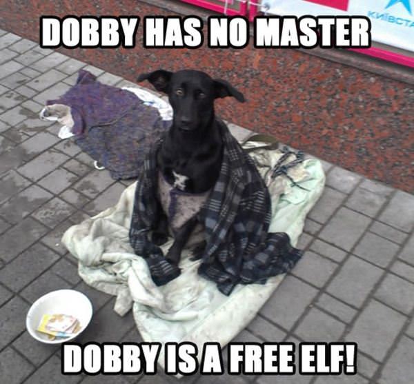 Dobby