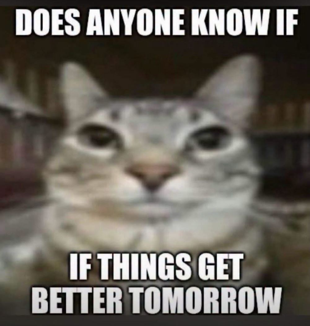 Does Anyone Know