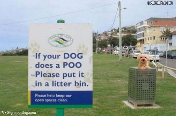 Dog Did A Poo