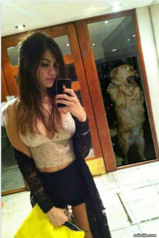 Dog Making Fun Of Owner