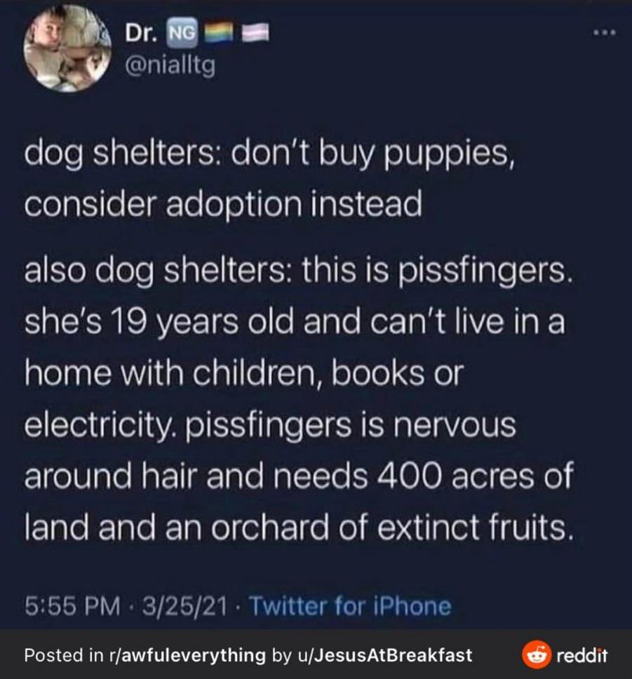 Dog Shelters