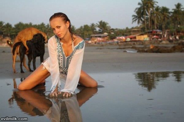 Doggie Style