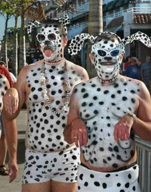 Doggies