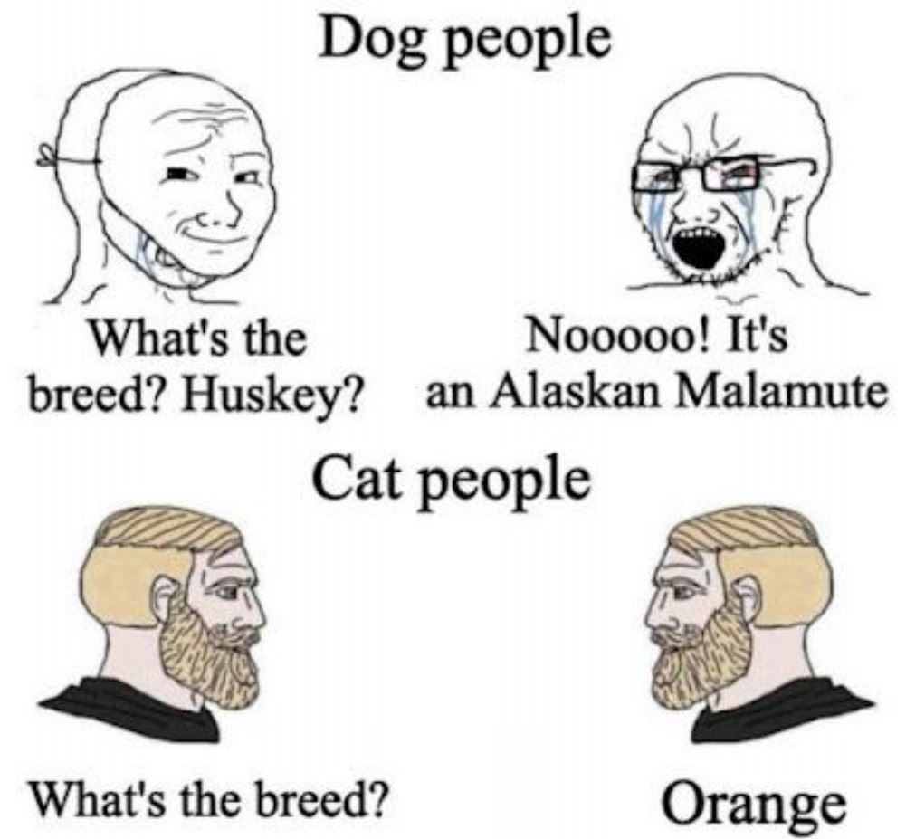 Dogs And Cats