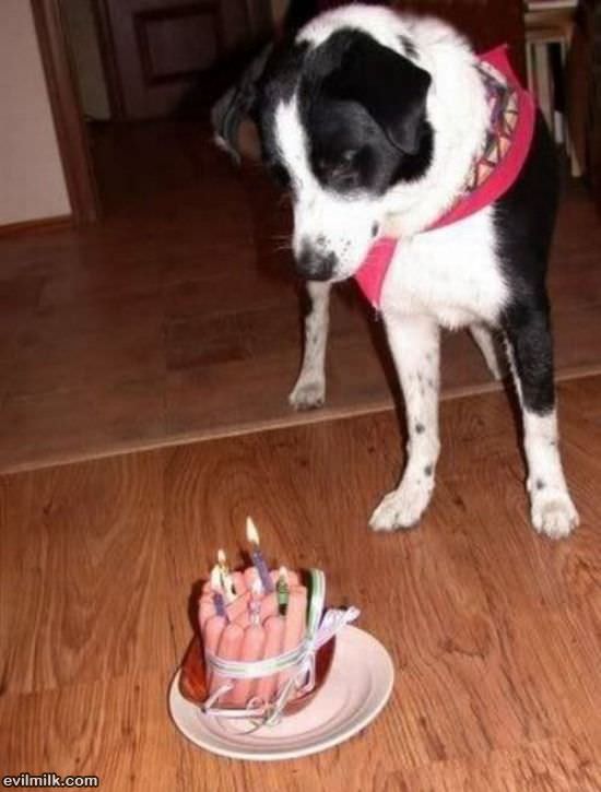 Dogs Birthday Cake Mmm