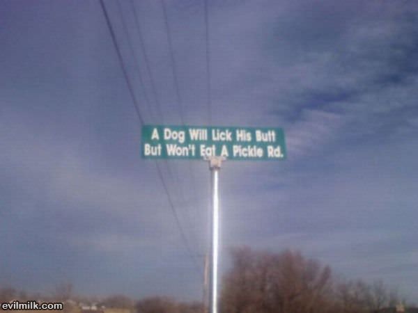 Dogs Hate Pickles