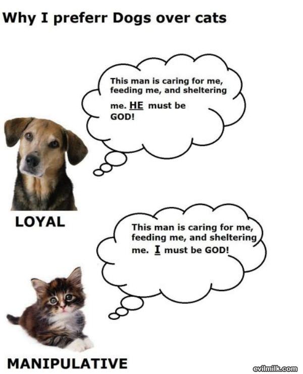 Dogs Vs Cats