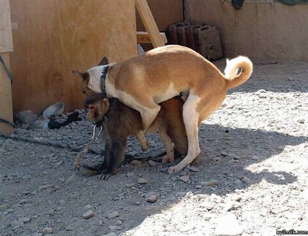 Doing It Wrong