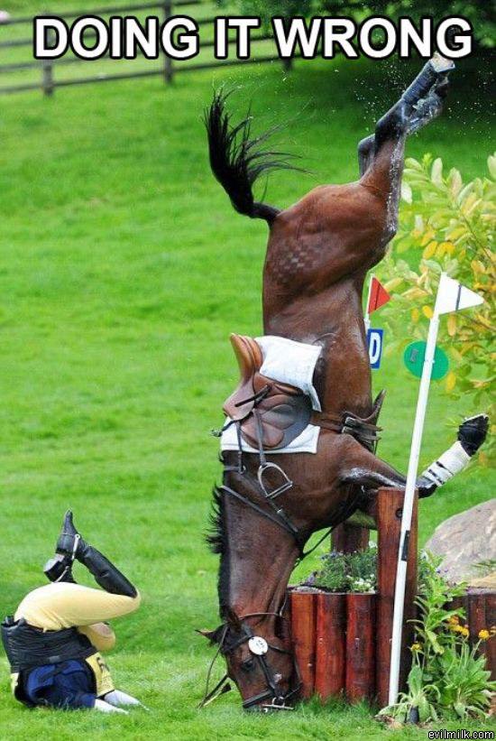 Doing It Wrong Horse