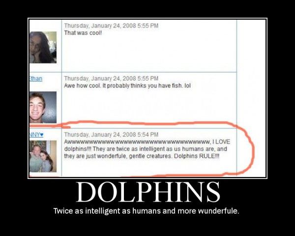 Dolphins