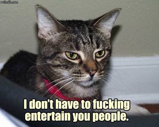 Dont Have To Entertain