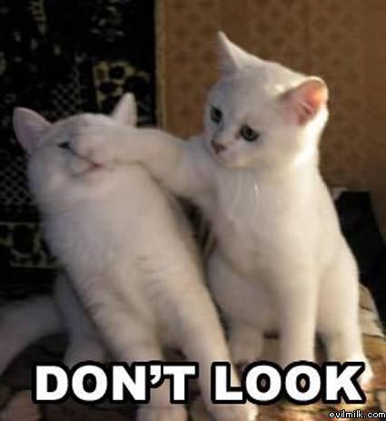 Dont Look