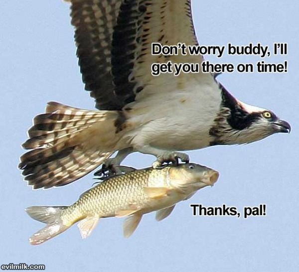 Dont Worry
