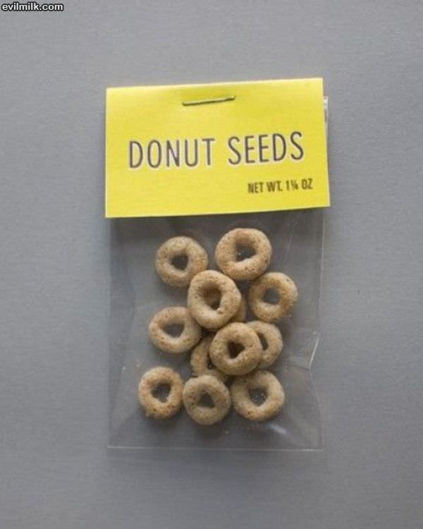 Donut Seeds