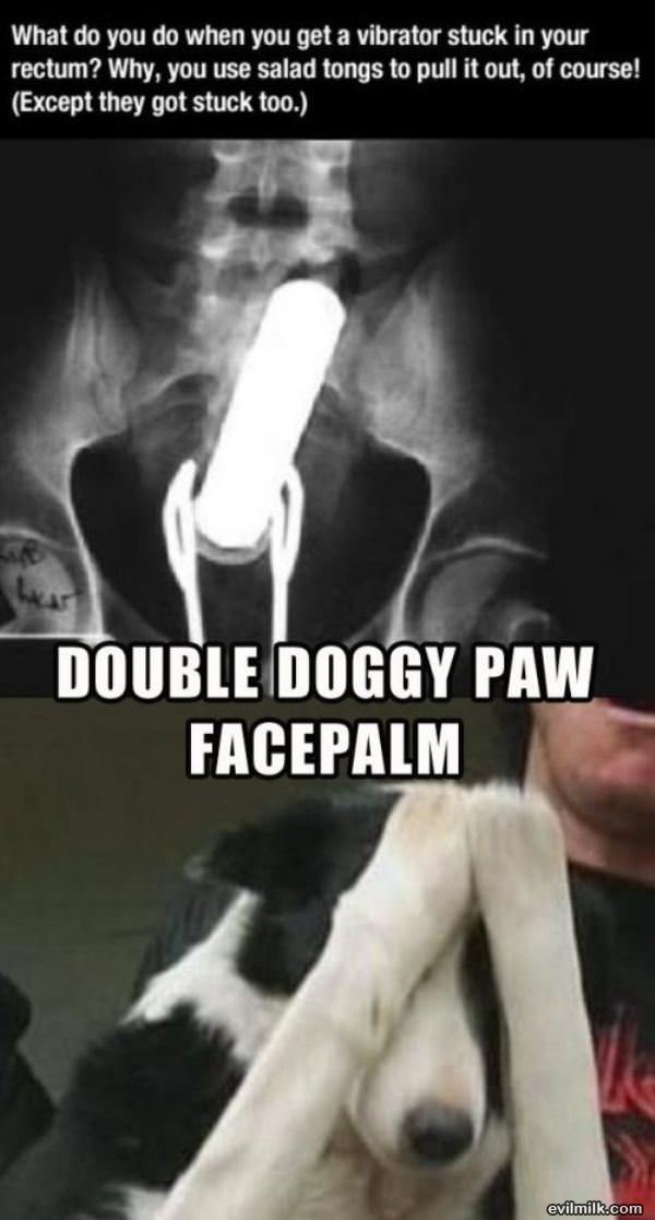 Double Facepalm