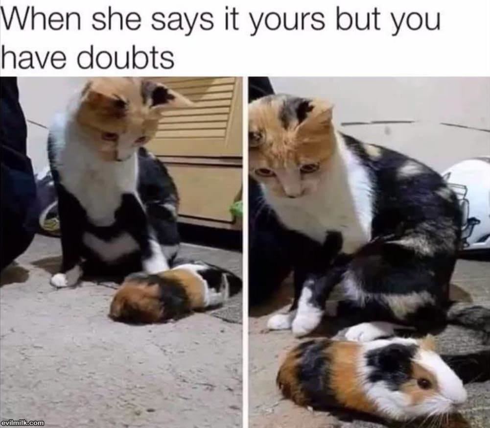 Doubts