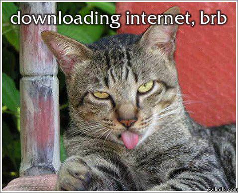 Downloading Cat