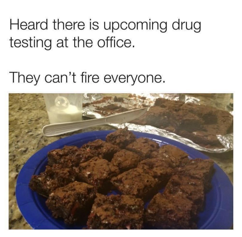 Drug Test