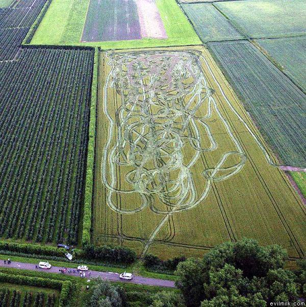 Drunk Farmer