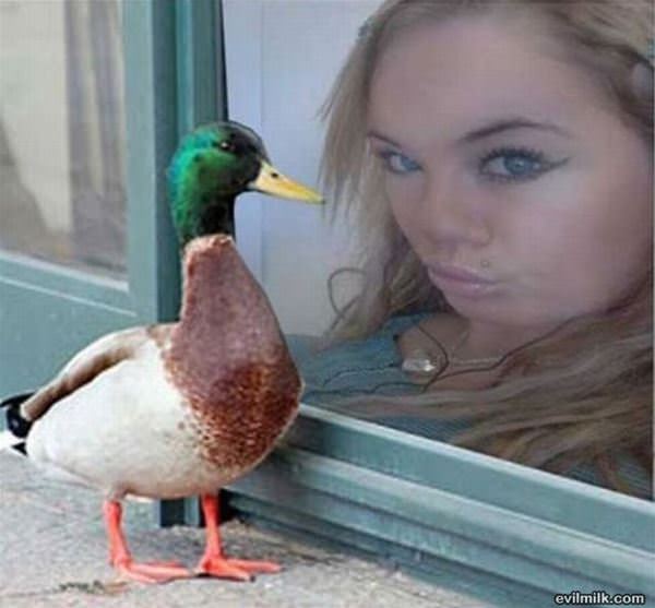 Duck Faces Picdump 12