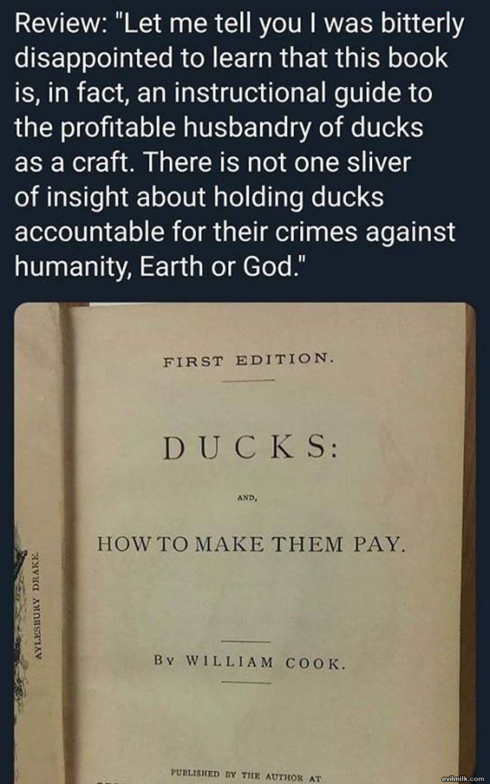 Ducks