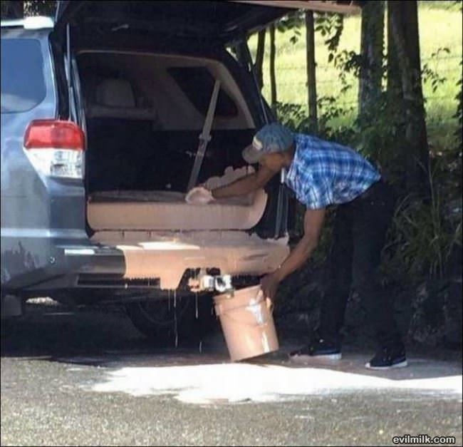 Dude Messed Up