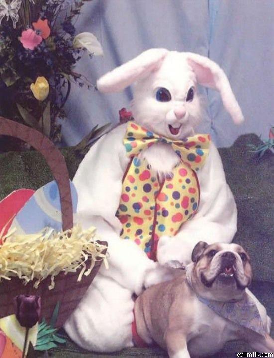 Easter Bunny