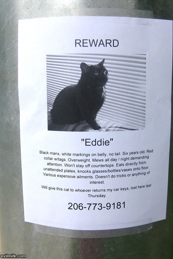 Eddie