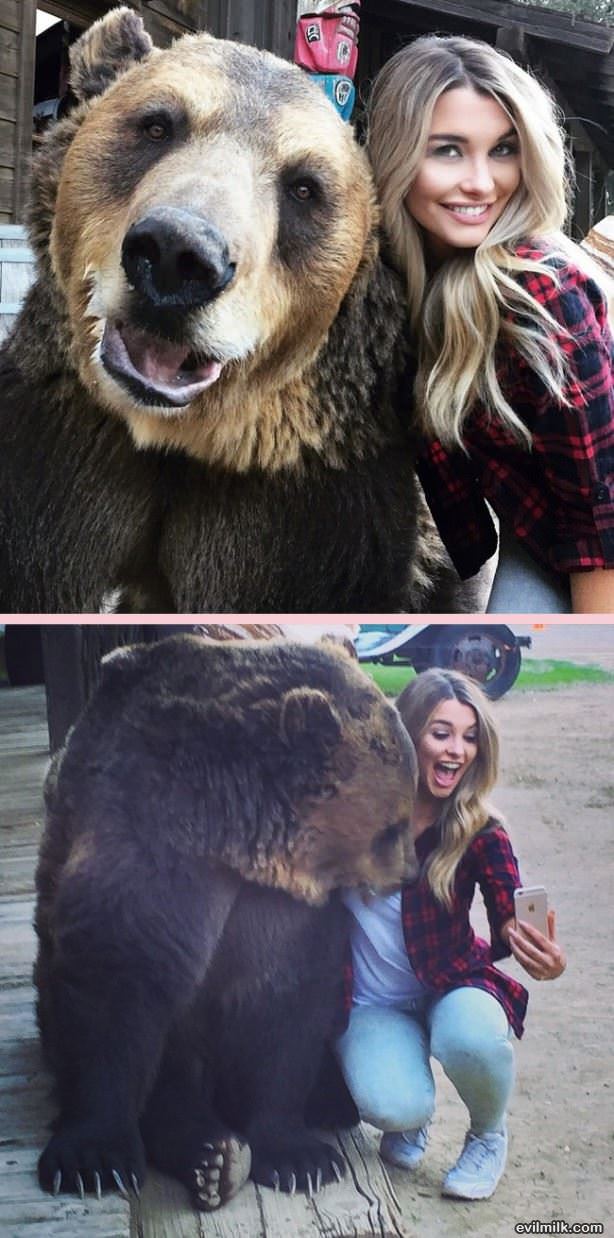 Emily Sears