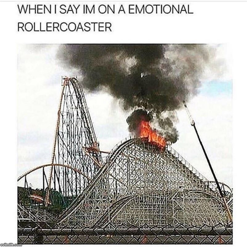 Emotional Rollercoaster