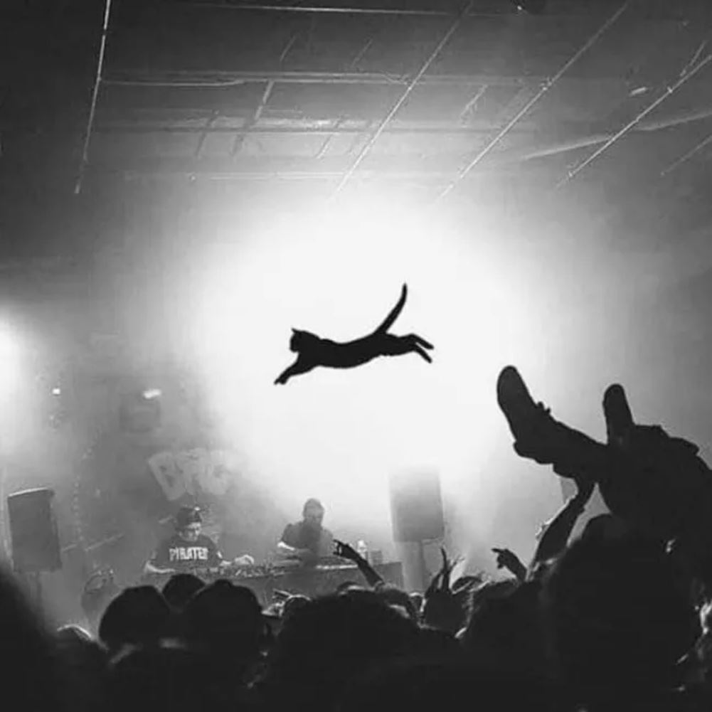 Epic Mosh Pit