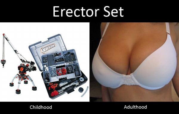 Erector Set