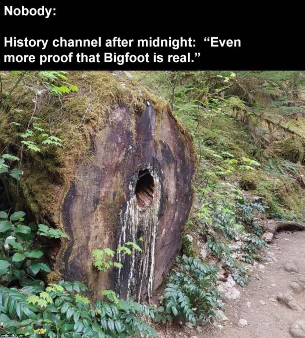 Even More Proof
