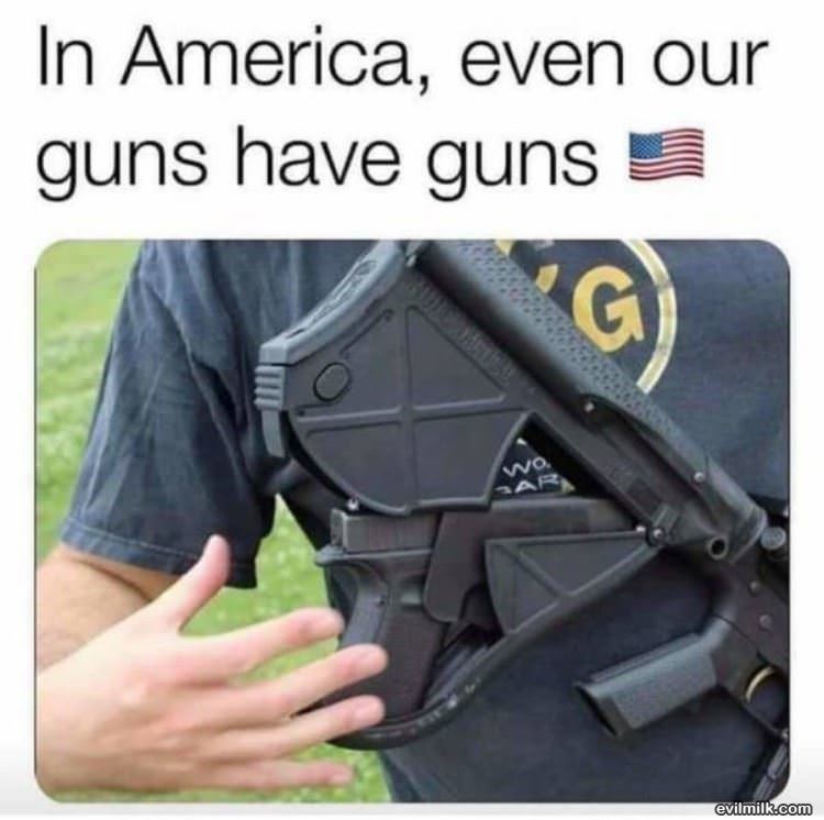 Even Our Guns Have Guns