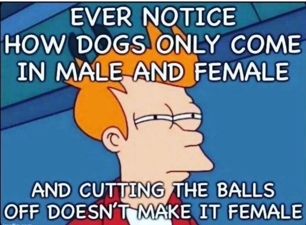 Ever_Notice_How.jpg
